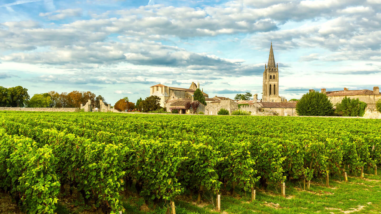 Image of Bordeaux (Le Verdon), France